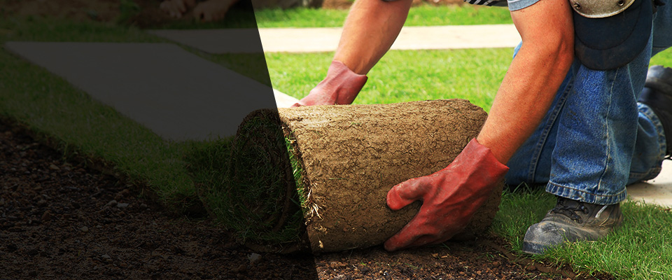 Knightdale Landscapers